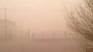 МАРГААШНААС ШОРООН ШУУРГА ШУУРНА