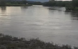 ДАРХАНД АЯЛЖ ЯВСАН ТАВАН ХҮНИЙ ХОЁР НЬ ТОГТООЛ УСАНД ЖИВЖ АМИА АЛДЖЭЭ