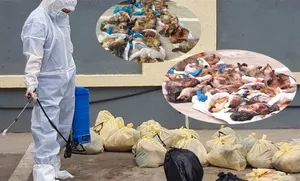 ТАРВАГАН ТАХЛЫН ЭРСДЭЛ ӨНДӨР БАЙНА