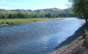 ОРХОН ГОЛД 46 НАСТАЙ ЭМЭГТЭЙ ЖИВЖ, АМИА АЛДЖЭЭ