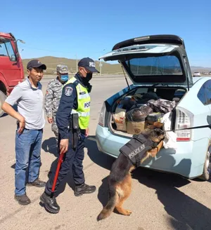 25000 ГАРУЙ ТЭЭВРИЙН ХЭРЭГСЭЛД ШАЛГАЛТ ХИЙЖ, 51 ТАРВАГАНЫ МАХ ИЛРҮҮЛЭН ХАРИУЦЛАГА ТООЦЛОО