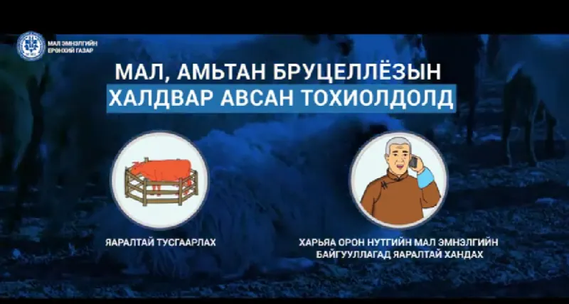 БРУЦЕЛЛЁЗ ӨВЧНИЙ ДАРХЛААЖУУЛАЛТ ЭХЭЛЛЭЭ