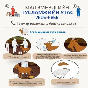 “МАЛ ЭМНЭЛГИЙН ТУСЛАМЖИЙН УТАС” ТУРШИЛТЫН ТӨСЛИЙГ ХЭРЭГЖҮҮЛЖ ЭХЭЛЛЭЭ.
