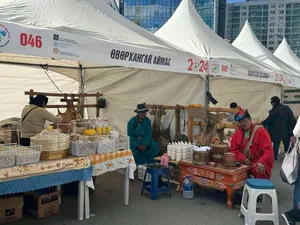 МАЛ ЭМНЭЛГИЙН ЕРӨНХИЙ ГАЗРААС ГАРГАСАН ТӨЛӨВЛӨГӨӨ, БАТЛАГДСАН ХУВААРИЙН ДАГУУ "НАМРЫН НОГООН ӨДРҮҮД-ҮНДЭСНИЙ ҮЙЛДВЭРЛЭЛ 2024" АРГА ХЭМЖЭЭНД ОРОЛЦОГЧ АЖ АХУЙН НЭГЖ БАЙГУУЛЛАГА, ИРГЭДИЙН ҮЙЛ АЖИЛЛАГАА
