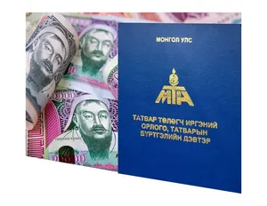 ТАТВАР ТӨЛӨГЧДИЙН ЭРХ, АШИГ СОНИРХЛЫГ ХАМГААЛАХ ХУУЛИЙН ЗОХИЦУУЛАЛТ ХЭРЭГЖИЖ БАЙНА