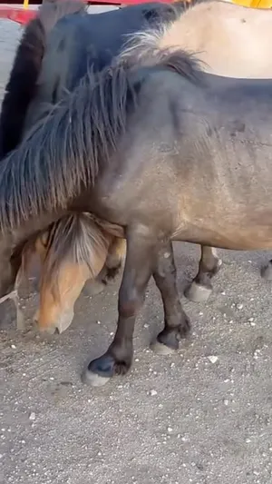 АРАЙ Ч ДЭЭ‼️ БИД ХААШАА Л ЯВААД БАЙНА ДАА...