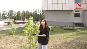 ШУУД