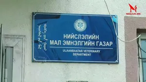 "MONGOLIAN NATURAL BREND" АГУУЛАХДАА ИХ ХЭМЖЭЭНИЙ МУУДСАН МАХ ХАДГАЛАЖ БАЙСАН НЬ НОТЛОГДЛОО