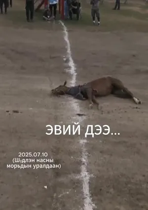 Шүдлэн насны морьдын уралдаан /2025.07.10/