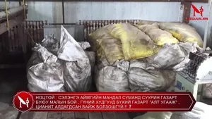 НОЦТОЙ : СЭЛЭНГЭ АЙМГИЙН МАНДАЛ СУМАНД СУУРИН ГАЗАРТ БУЮУ МАЛЫН БОЙ , ГҮНИЙ ХУДГУУД БҮХИЙ ГАЗАРТ "АЛТ УГААЖ" , ЦИАНИТ АЛДАГДСАН БАЙЖ БОЛЗОШГҮЙ