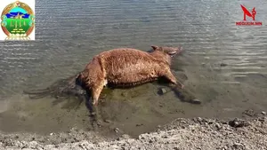 ТӨВ АЙМГИЙН ЗААМАР СУМЫН ӨНӨӨГИЙН НӨХЦӨЛ БАЙДАЛ