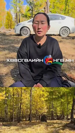 2 НАСТАЙ ХҮҮГИЙН ЭЭЖ С.МЯГМАРСҮРЭН: МИНИЙ ХҮҮ ДҮҮТЭЙГЭЭ ДАНДАА ХАМТ БАЙДАГ. СЭРЭЭД ДҮҮГЭЭ ХАРААД ХАЯАД ЯВМААРГҮЙ ЮМ. ОДОО ХҮРТЭЛ ЯМАР Ч СУРАГ ГАРАХГҮЙ БАЙГААД МАШ ИХ ГАЙХАЖ БАЙНА

2025.09.21

ЭХ СУРВА