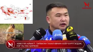 ХӨВСГӨЛ АЙМАГТ  ТАРВАГАН ТАХАЛ ӨВЧИН ХОЁР БҮРТГЭГДЭЖ, НЭГ НЬ НАС БАРЖЭЭ