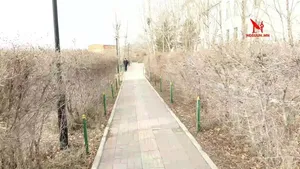 ШУУРХАЙ���СЭМҮТ-ЭЭС...