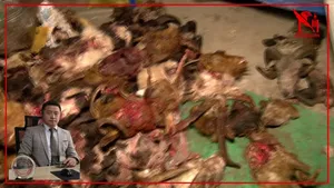 ИРГЭН: АЖИЛЧДЫНХАА ЦАЛИНГ ХУГАЦААНД НЬ ӨГДӨГГҮЙ ҮРГЭЛЖ ДУТУУ ӨГДӨГ