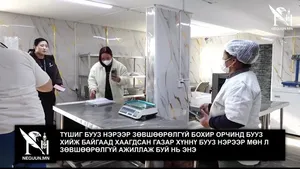 ТҮШИГ БУУЗ НЭРЭЭР ЗӨВШӨӨРӨЛГҮЙ БОХИР ОРЧИНД БУУЗ ХИЙЖ БАЙГААД ХААГДСАН ГАЗАР ХҮННҮ БУУЗ НЭРЭЭР МӨН Л ЗӨВШӨӨРӨЛГҮЙ АЖИЛЛАЖ БУЙ НЬ ЭНЭ