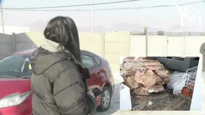 "ХҮННҮ БУУЗ" БОХИР ЗАВААН ОРЧИНД ҮЙЛ АЖИЛЛАГАА ЯВУУЛЖ ЧАНАРЫН ШААРДЛАГА ХАНГААГҮЙ БҮТЭЭГДЭХҮҮНИЙГ ИРГЭДЭД ТҮГЭЭЖ БАЙНА