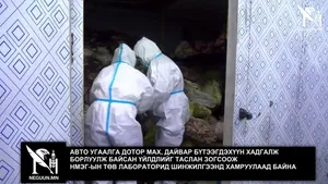 АВТО УГААЛГА ДОТОР МАХ, ДАЙВАР БҮТЭЭГДЭХҮҮН 
ХАДГАЛЖ БОРЛУУЛЖ БАЙСАН ҮЙЛДЛИЙГ ТАСЛАН ЗОГСООЖ НМЭГ-ЫН ТӨВ ЛАБОРАТОРИД ШИНЖИЛГЭЭНД ХАМРУУЛААД БАЙНА
