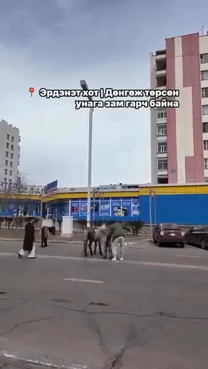 ДӨНГӨЖ ТӨРӨӨД ТЭНЦЭЖ БУЙ УНАГА ЗАМ ГАРЧ БУЙ МӨЧ…

ЭРДЭНЭТ ХОТ, 2026.04.22